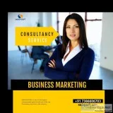 Business Consultancy Services