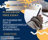 Get 100% Plagiarism Free Essay by Professional and Top Essay Wri