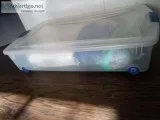Under bed storage box with wheels