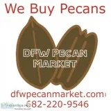 WE BUY PECANS