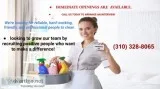 Hiring the Maids