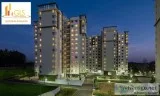 Gls avenue 86