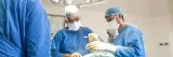 Stem cell therapy for knee cartilage | Regrow