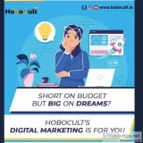 digital marketing solutions company in north delhi