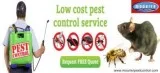 Pest Control Delhi