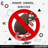 Pest Control Management for Rodent in India