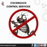 Best Pest Control Services for Cockroaches