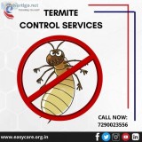 Best Residential Termite Treatment Company in India