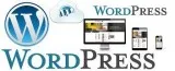 Wordpress website design course delhi