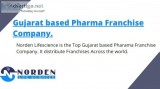 Gujarat based pcd pharma franchise company
