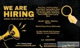 Home based jobs for fresher and college students