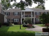 (ID1399589) Lovely 23 Bedroom 2nd Floor Garden Apartment For Ren