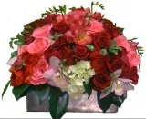 Find Best Flowers in Beverly Hills Flower Gallery