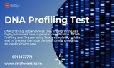 Get the best dna profiling test