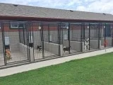 Best Pet Boarding Kennels-OKC Vera s Posh Paws.