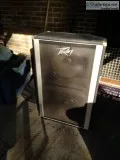 Peavey 215 bass cabinet