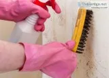 Mold Testing Baton Rouge