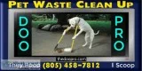 Pooper Scooper dog waste clean up