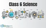 Class 6 Science