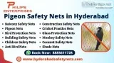 Pigeon Safety Net in Hyderabad