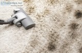 Residential carpet cleaning Adelaide