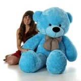 Make Everyday Cool with Cool Teddy Bears
