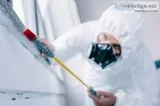 Affordable Pest Control Service