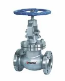 Best Quality Globe Valve at market leading price
