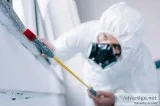 Schedule An Appointment With Pest Control Expert in Laredo
