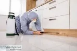 Pest Elimination Services in Your Area