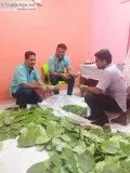 Kottakkal ayurvedic treatment centre