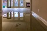 Commercial Carpet Cleaning in Adelaide    0412 184 687