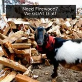 We have FIREWOOD for sale