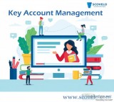 Key account management training - scovelo consulting