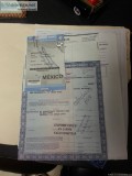 REALIZAMOS IMPORTACIONES SEGURAS POR LA FRONTERA DE AUTOSCAMIONE