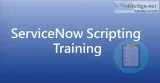 Servicenow scripting training