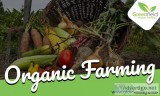 Organic fruits and vegetables in delhi