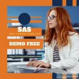 Online and Classroom SAS Training Course in Delhi NCR