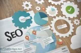 SEO Services Company in Delhi