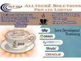 Advanced JAVA Training center in Velachery