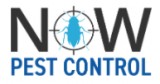 For Pest Control Get In Touch Now