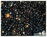 Dark Night With Stars &ndash 11&Prime x 14&Prime Canvas Painting