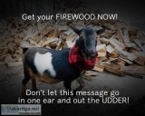 Firewood for sale - we offer delivery