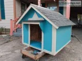 New dog house