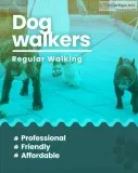 Book secured and verified dog walkers in jaipur | mr n mrs pet