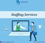 Staffing Services  Staffing Agency  Staffing Solutions - Veegent