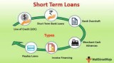 Immediate Business Loans With A Great Reputation
