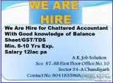 We Are Hire for Chattered Accountant With Good knowledge of Bala