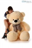 Get Plush Bear  Giant Teddy