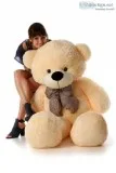 Get Plush Bear  Giant Teddy